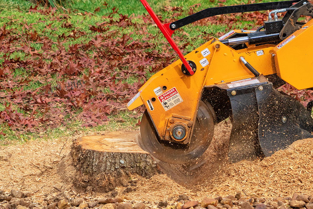 Stump Removal Guildford